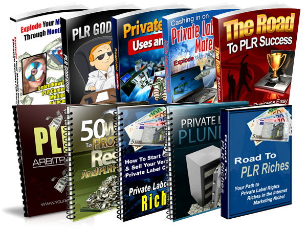 PLR Niche & Profits Reports